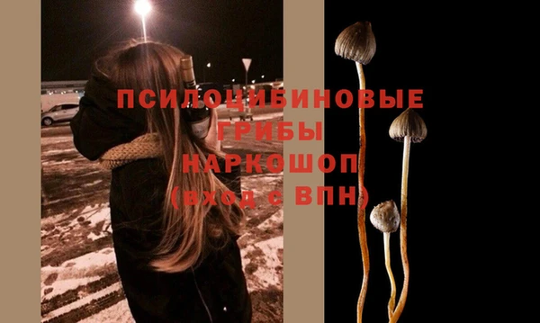 шишки Осташков