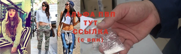 шишки Осташков