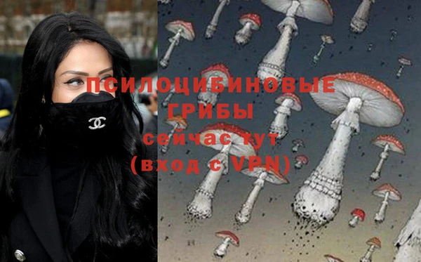 шишки Осташков