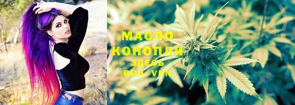 шишки Осташков