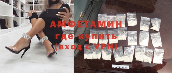 шишки Осташков