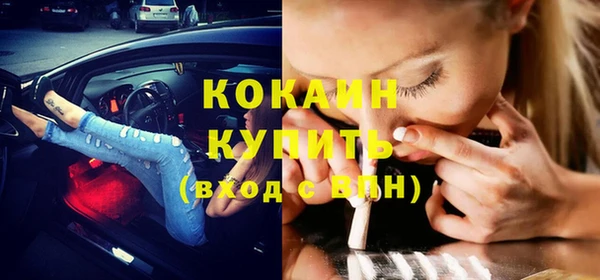 шишки Осташков
