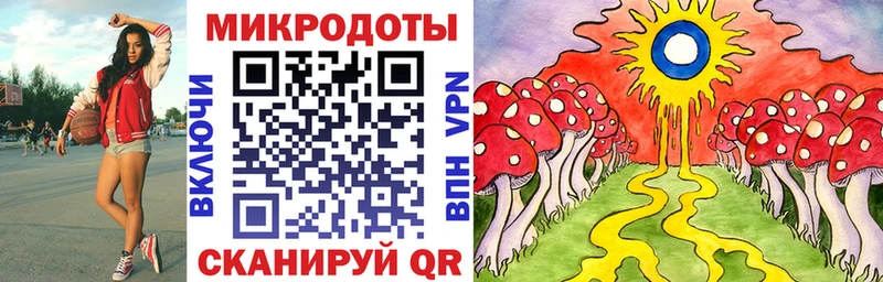 Псилоцибиновые грибы Psilocybine cubensis  Яровое 
