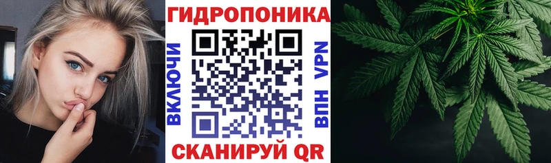 Бошки Шишки планчик  как найти закладки  Яровое 